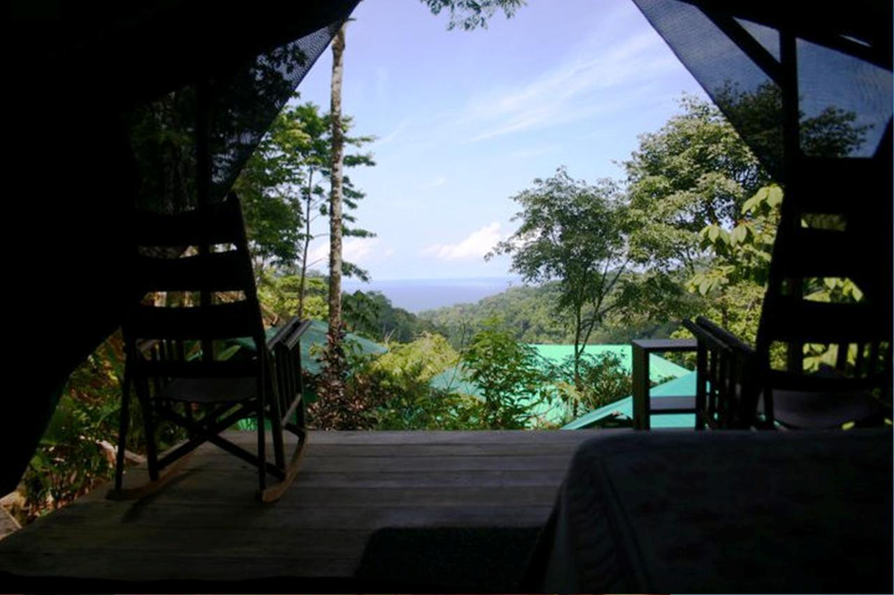 Luna Lodge Carate Стая снимка